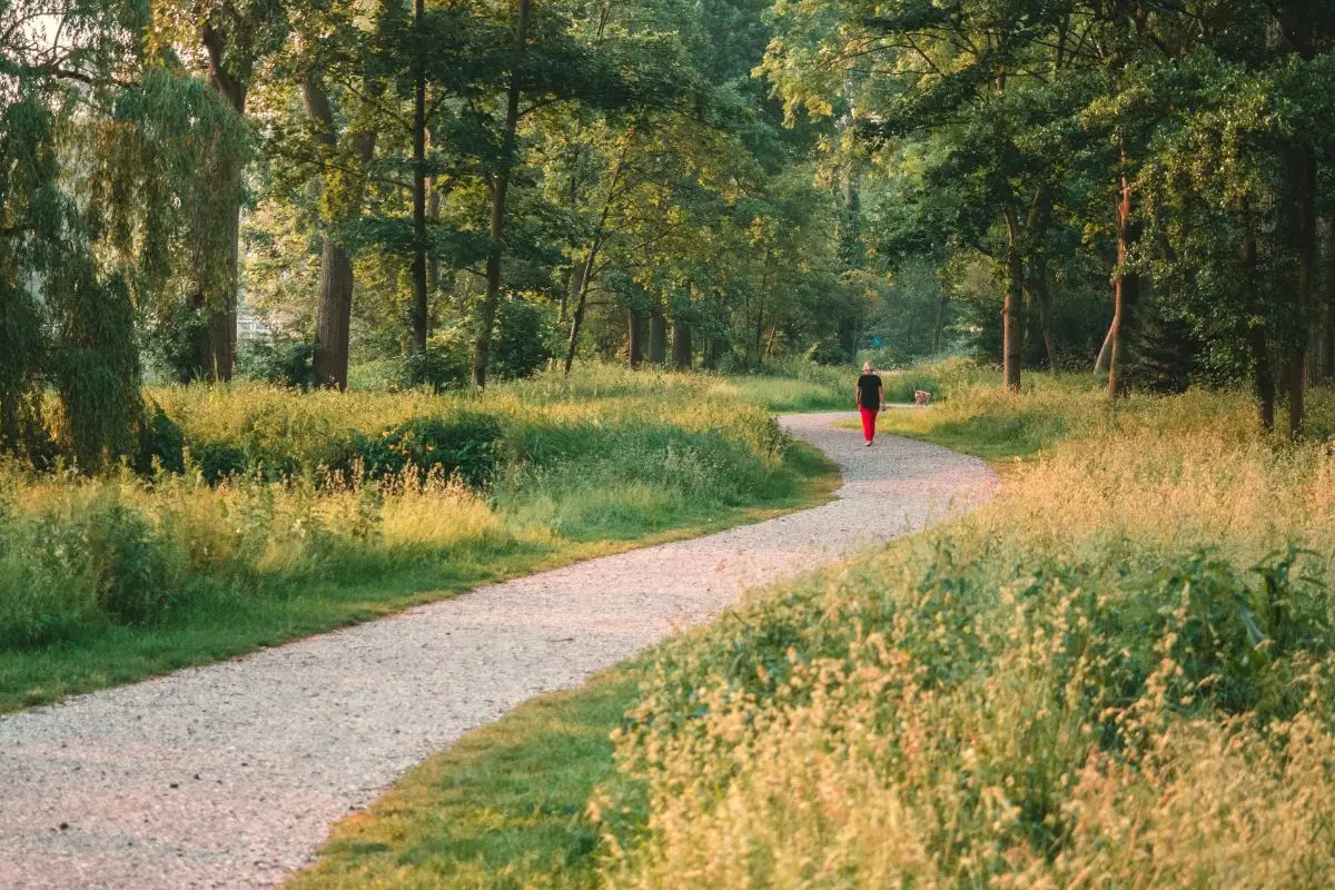Family walking together along a paved greenway trail surrounded by trees, evoking South Huntsville greenways near The Jessam at Hays Farm
